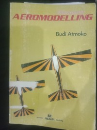 Mengenal Aeromodelling